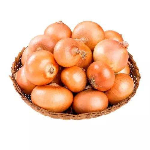 TUBERCULO CEBOLA ESPECIAL KG