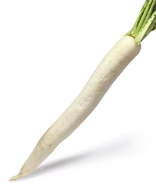 TUBERCULO NABO UNIDADE