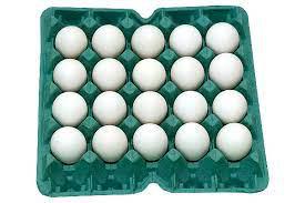 OVO BRANCO EXTRA GRANDE ABRIGO BDJ C/20