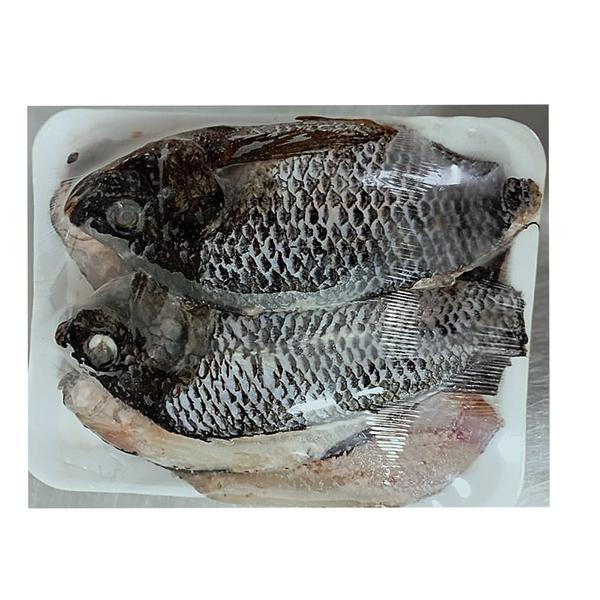 PEIXE TILAPIA CONGELADO  BDJ 1KG