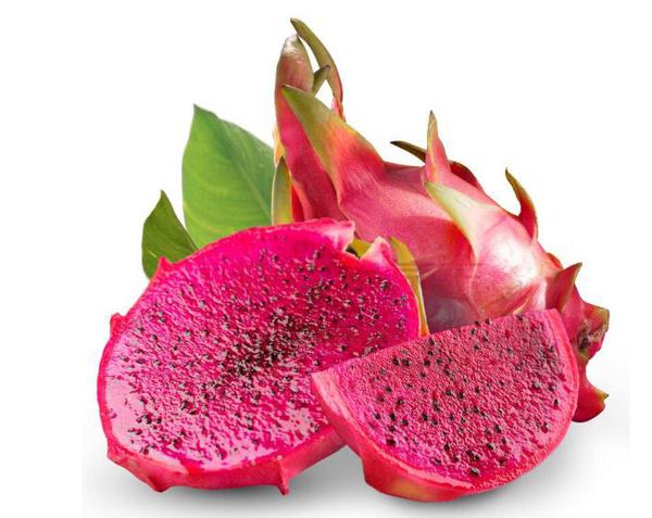 PITAYA KG