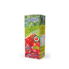 SUCO JANDAIA PRONTINHO ACEROLA 200ML