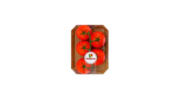 TOMATE HOLANDES TREBESCHI 600G