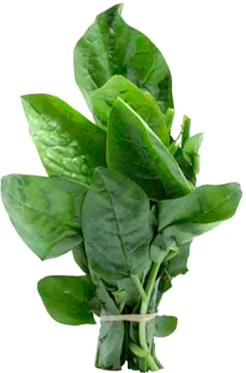 BERTALHA UN