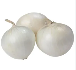 CEBOLA BRANCA KG