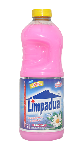 DESINF LIMPADUA 2L FLORAL