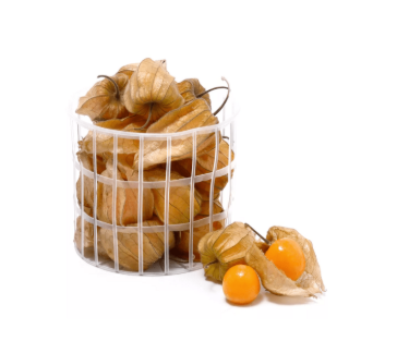 PHYSALIS BANDEJA