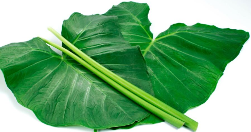 TAIOBA UND