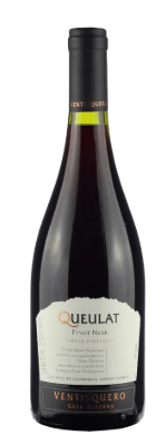 V.QUEULAT PINOT 750ML