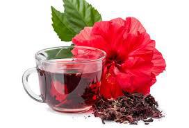 CHA ADOREI HIBISCO COM ESPECIARIAS 15G