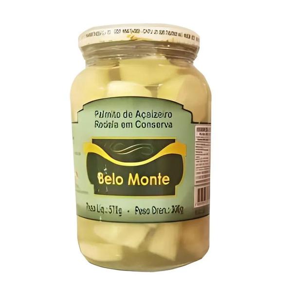 PALMITO BELO MONTE RODELA 300G