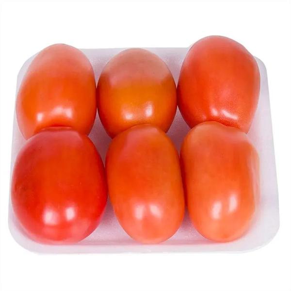 TOMATE ITALIANO LERO 500G