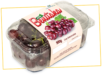 UVA BENITAKA BANDEJA 500G
