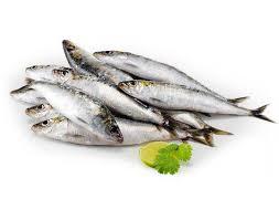 PEIXE SARDINHA PC PEIXE VIVO 1KG