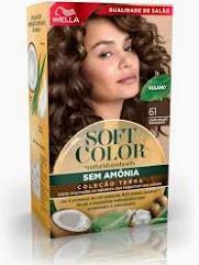 TINT.SOFT COLOR NI 61 LOU.ESC.AMAD