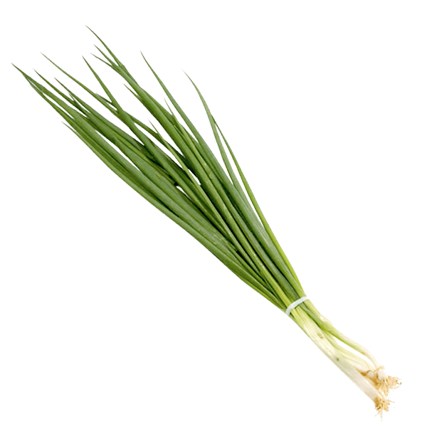 CEBOLINHA FOLHA UN