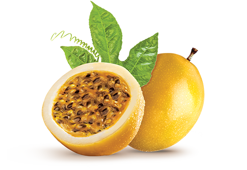 MARACUJA KG