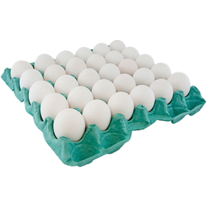 OVOS BRANCOS SOFIA BDJ C/30UN