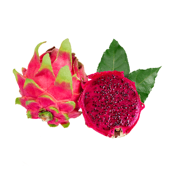PITAYA KG