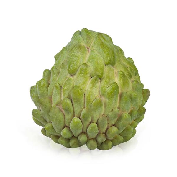 ATEMOIA / PINHA  UN