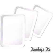 BANDEJA ISOPOR B2 C100 UN