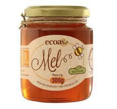 MEL VIDRO FLORES SILVESTRE ECOAS 300G