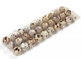 OVOS CODORNA GRANJA SHINODA C/ 30