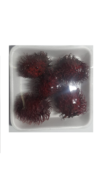 RAMBUTAO BDJ