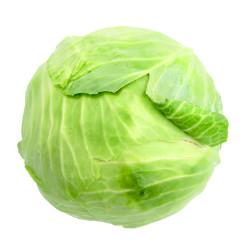 REPOLHO VERDE UN