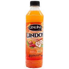 SUCO LINDOYA LARANJA ACEROLA 450ML
