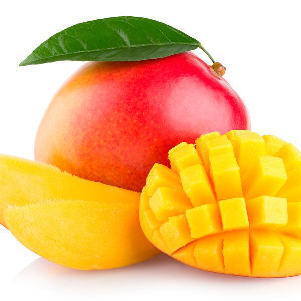 Feira Manga Tommy Kg