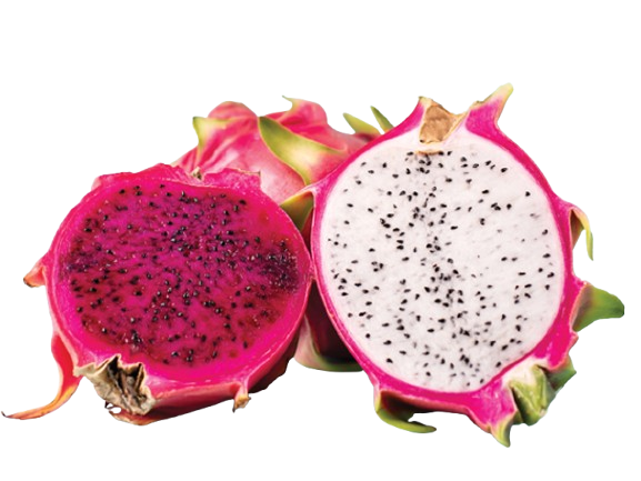 Feira Pitaya Kg