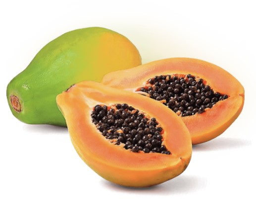 MAMAO PAPAYA UN