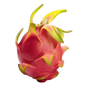 PITAYA KG