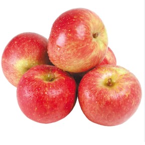 MACA FUJI KG