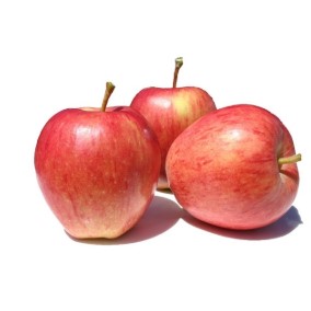 MACA GALA KG