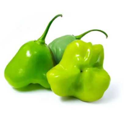 PIMENTA CAMBUCI KG