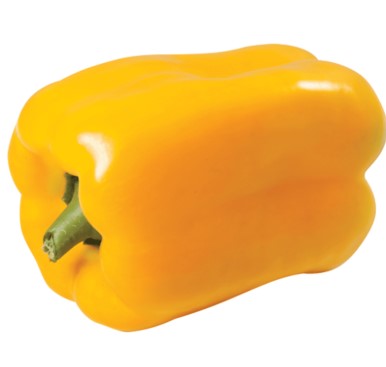 PIMENTAO AMARELO KG