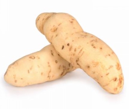 BATATA DOCE BRANCA KG
