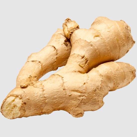 GENGIBRE KG