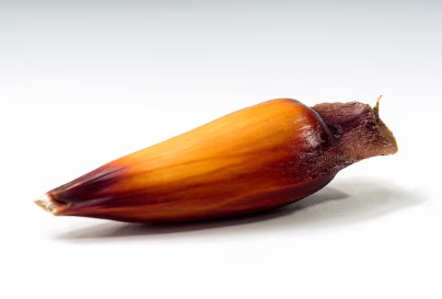 PINHAO KG