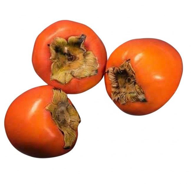 CAQUI CHOCOLLATE KG