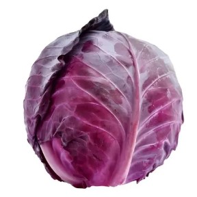 REPOLHO ROXO KG