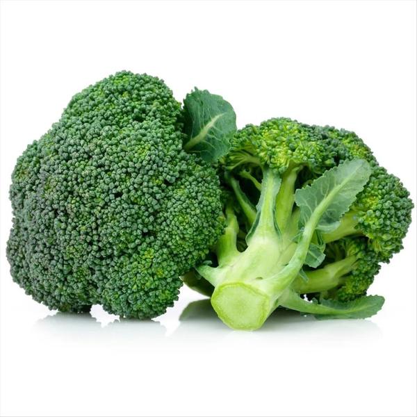 BROCOLIS AMERICANO UND