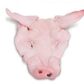 MASCARA COM FOCINHO CONGELADA DE SUINO