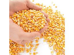 MILHO IN NATURA GUIRICEMA 5KG