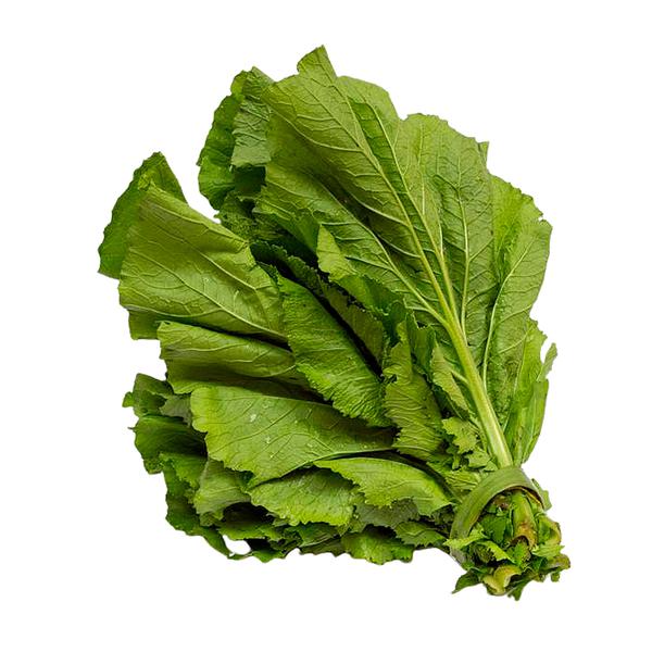 MOSTARDA FOLHA HORTFRUT