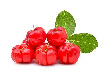 ACEROLA KG