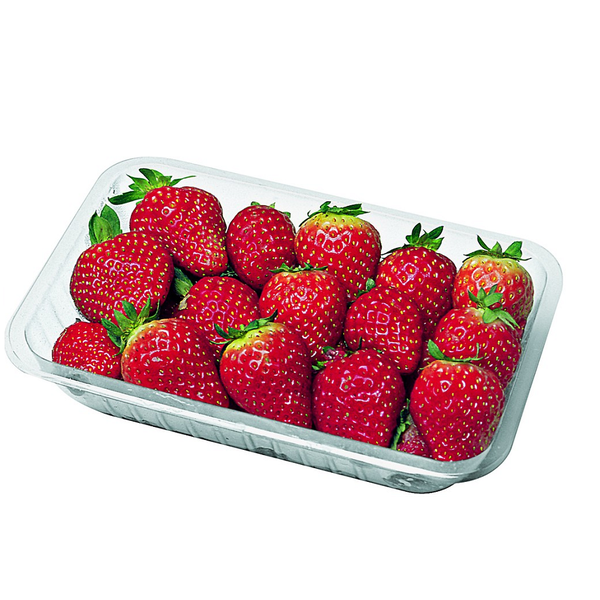 MORANGO BANDEJA 25G BELLA FRUT