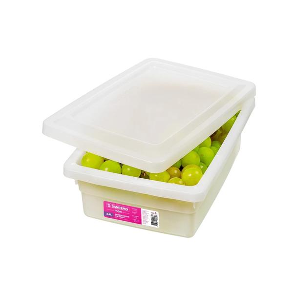 ORGANIZADOR MULTIUSO PLAST SANREMO 2,5L